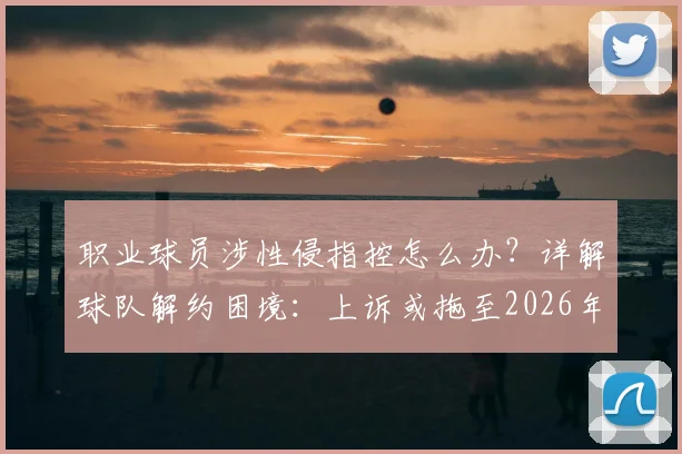 职业球员涉性侵指控怎么办？详解球队解约困境：上诉或拖至2026年，天价赔偿金成焦点